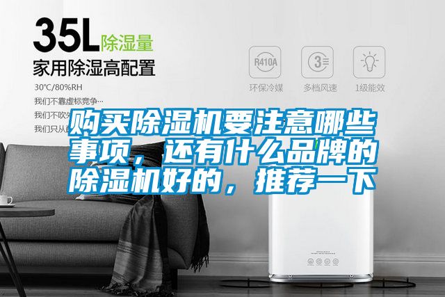 購買除濕機要注意哪些事項，還有什么品牌的除濕機好的，推薦一下