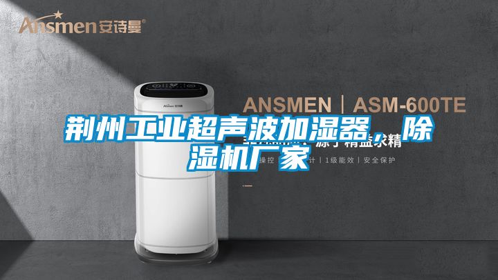 荊州工業(yè)超聲波加濕器，除濕機(jī)廠家