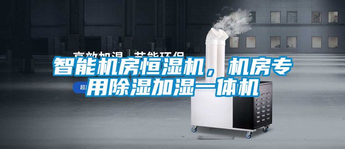 智能機(jī)房恒濕機(jī)，機(jī)房專用除濕加濕一體機(jī)