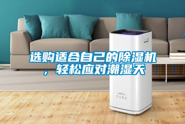 選購適合自己的除濕機，輕松應對潮濕天