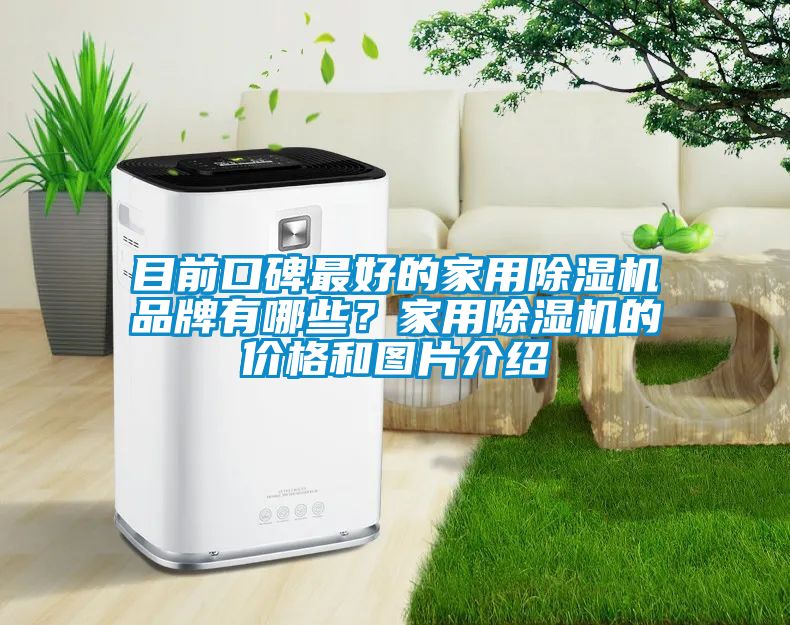 目前口碑最好的家用除濕機(jī)品牌有哪些？家用除濕機(jī)的價(jià)格和圖片介紹