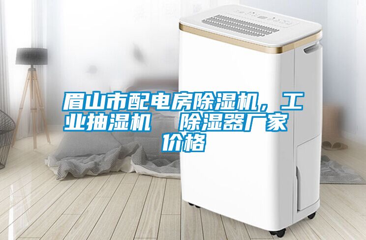眉山市配電房除濕機(jī)，工業(yè)抽濕機(jī)  除濕器廠家 價格