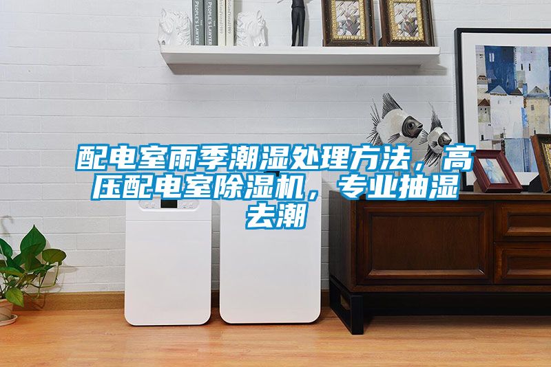 配電室雨季潮濕處理方法，高壓配電室除濕機(jī)，專業(yè)抽濕去潮