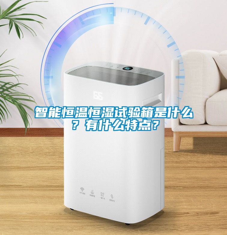 智能恒溫恒濕試驗箱是什么？有什么特點？