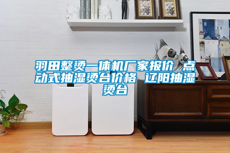羽田整燙一體機(jī)廠家報(bào)價 點(diǎn)動式抽濕燙臺價格 遼陽抽濕燙臺