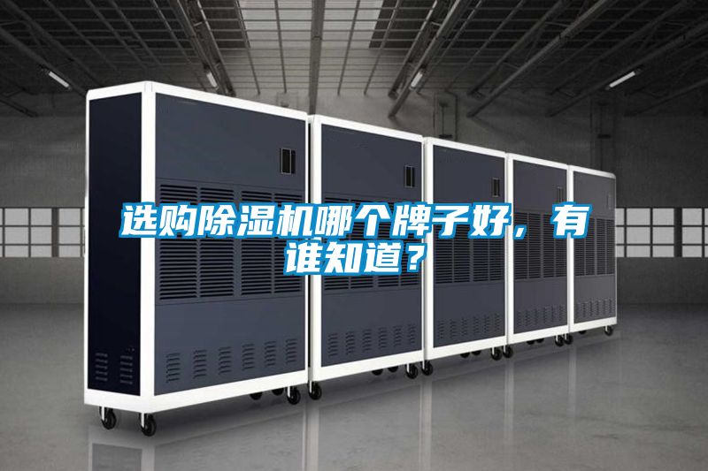 選購除濕機哪個牌子好，有誰知道？