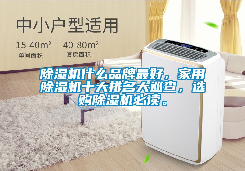 除濕機(jī)什么品牌最好，家用除濕機(jī)十大排名大巡查，選購除濕機(jī)必讀。