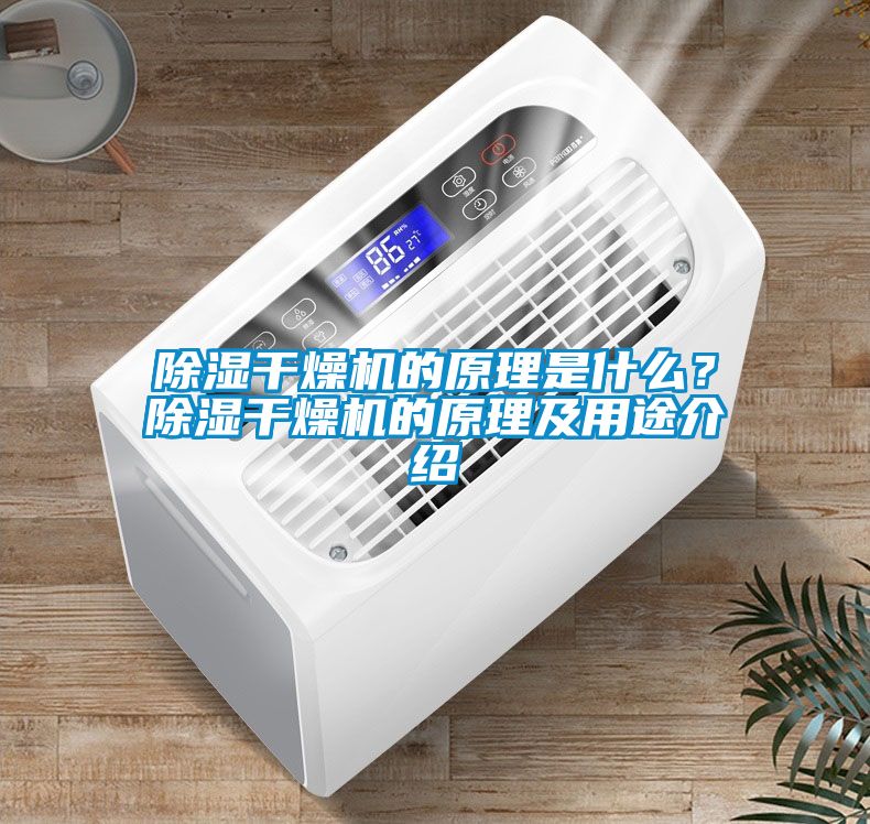 除濕干燥機(jī)的原理是什么？除濕干燥機(jī)的原理及用途介紹