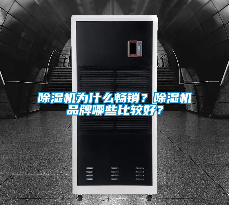 除濕機(jī)為什么暢銷(xiāo)？除濕機(jī)品牌哪些比較好？