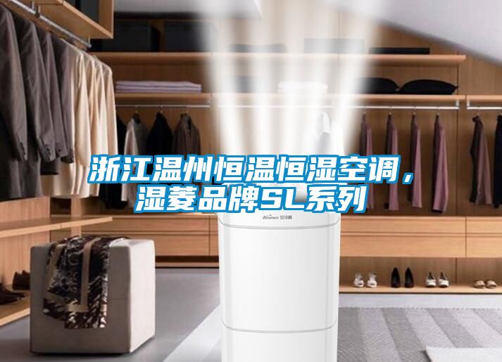 浙江溫州恒溫恒濕空調(diào)，濕菱品牌SL系列