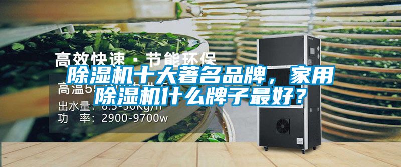 除濕機(jī)十大著名品牌，家用除濕機(jī)什么牌子最好？