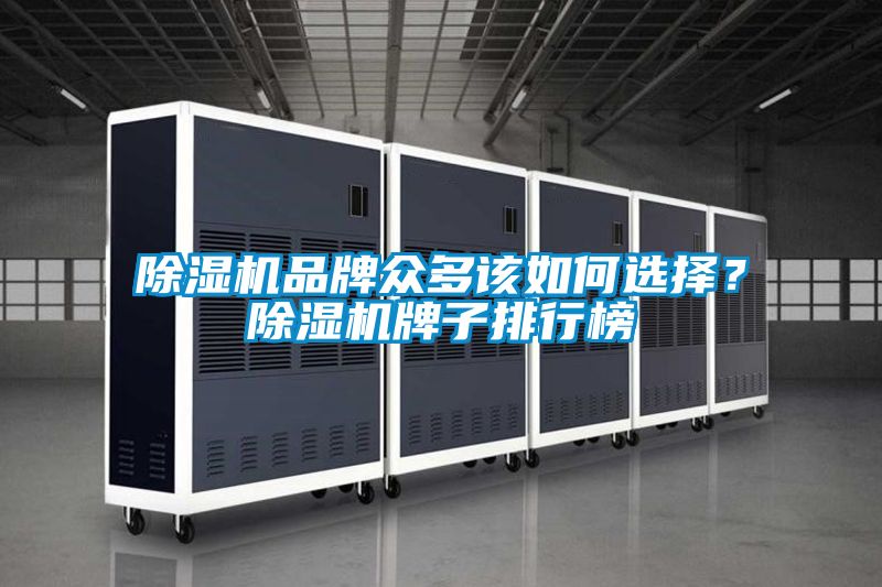 除濕機(jī)品牌眾多該如何選擇？除濕機(jī)牌子排行榜