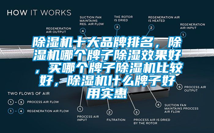 除濕機(jī)十大品牌排名，除濕機(jī)哪個(gè)牌子除濕效果好，買(mǎi)哪個(gè)牌子除濕機(jī)比較好，除濕機(jī)什么牌子好用實(shí)惠
