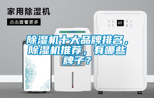 除濕機(jī)十大品牌排名，除濕機(jī)推薦，有哪些牌子？
