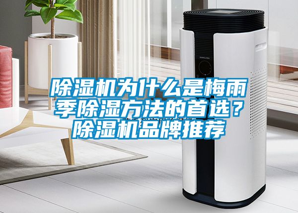 除濕機(jī)為什么是梅雨季除濕方法的首選？除濕機(jī)品牌推薦