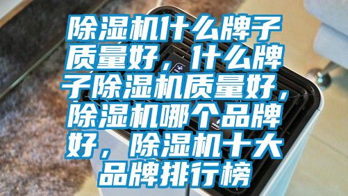 除濕機(jī)什么牌子質(zhì)量好，什么牌子除濕機(jī)質(zhì)量好，除濕機(jī)哪個(gè)品牌好，除濕機(jī)十大品牌排行榜