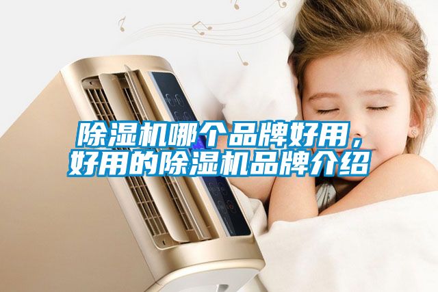 除濕機(jī)哪個(gè)品牌好用，好用的除濕機(jī)品牌介紹